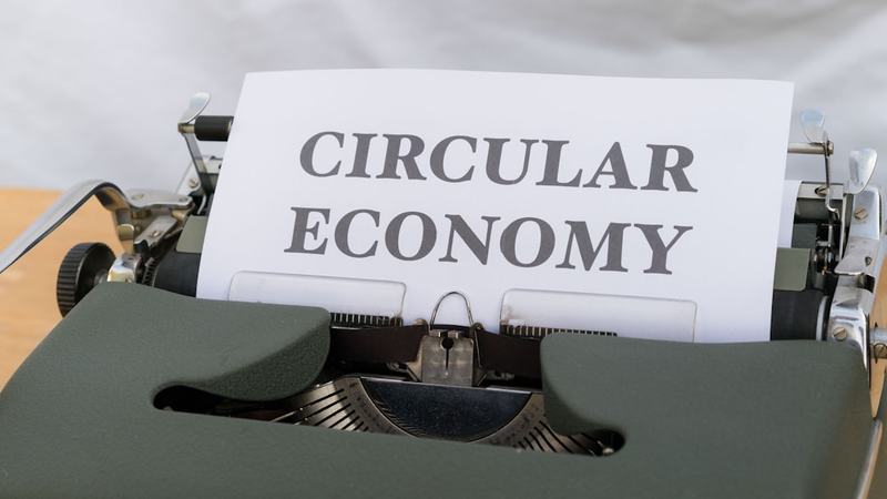 A creator economy entrou na fase adulta?